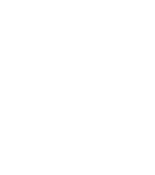 Meta Certified Digital Marketing Associate
